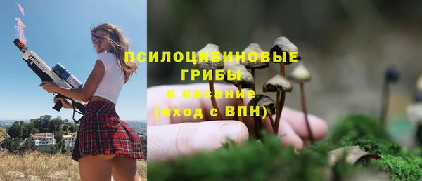 таблы Бородино