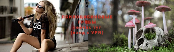 прущая мука Бугульма