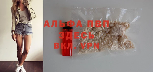 таблы Бородино