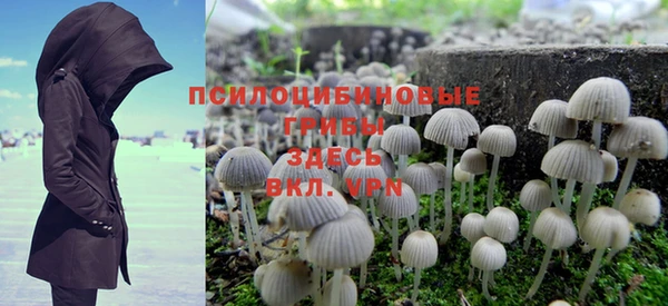 таблы Бородино