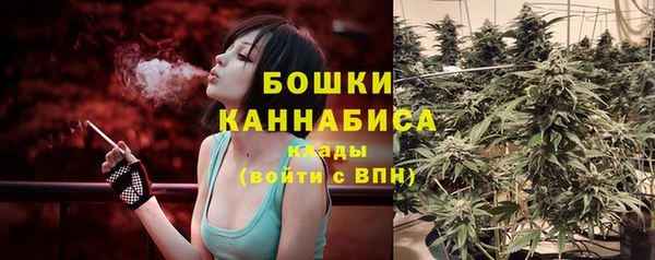 таблы Бородино